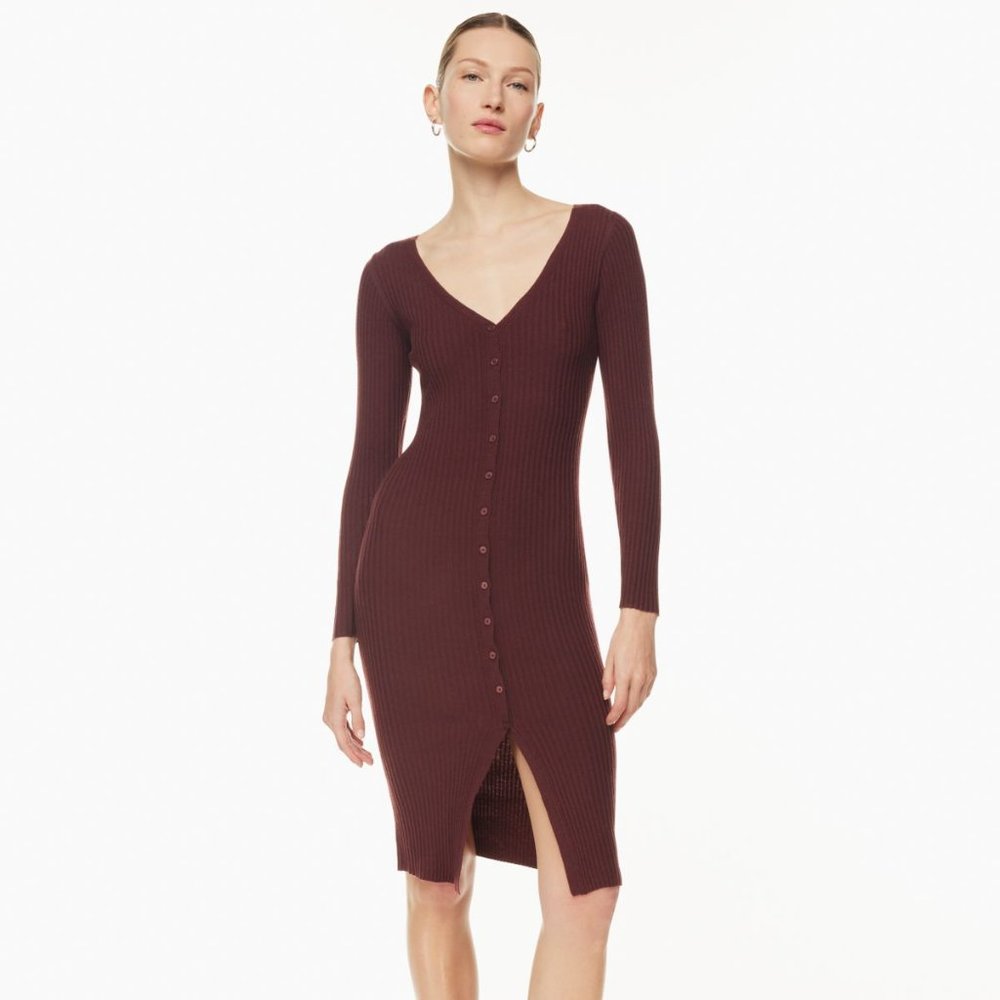 Aritzia Dress
